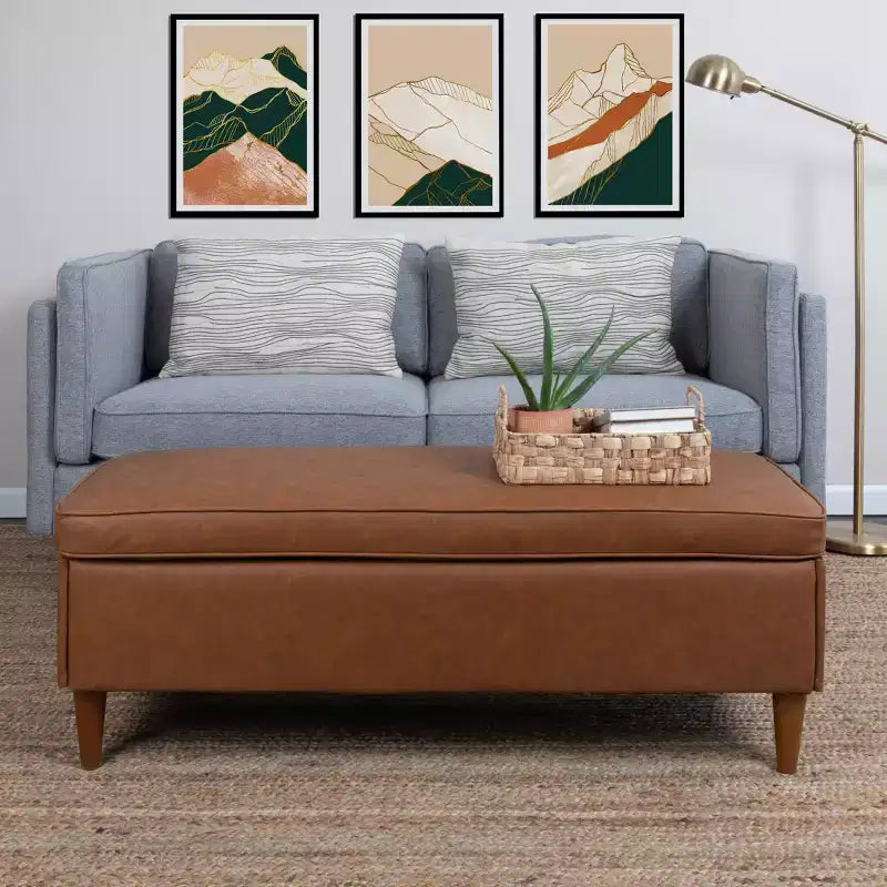 Banc de rangement marron