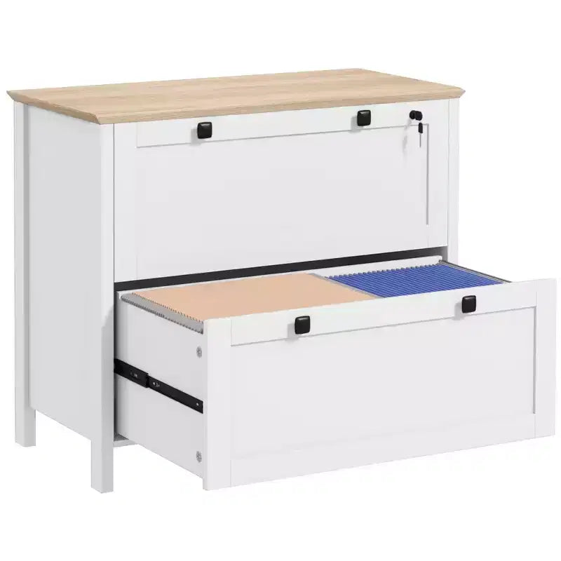 HOMCOM 2 Drawer File Cabinet with Lock Lateral Filing Cabinet with Keys and Adjustable Hanging Bar for Letter A4 and Legal Size